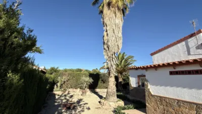House in Novelda photo 8