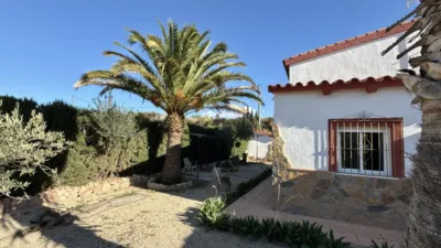 House in Novelda photo 9
