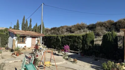 House in Novelda photo 17