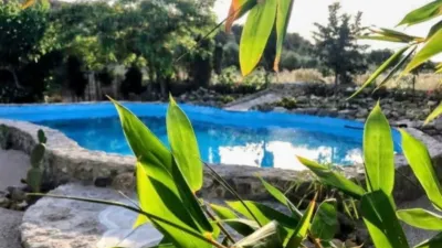 House in Novelda photo 47