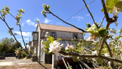 House on Quinteiro Street photo 16