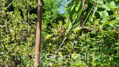 Casa en venta en Saillagouse, Saillagouse de 450.000 €