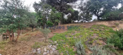 House in Vidreres photo 72