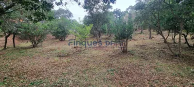 House in Vidreres photo 76