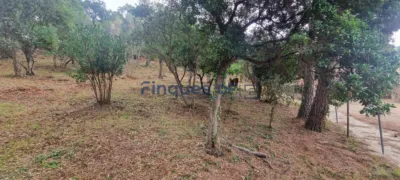 House in Vidreres photo 77