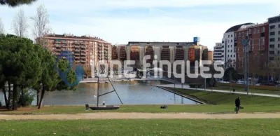 Apartment in Ca n'Oriac photo 14