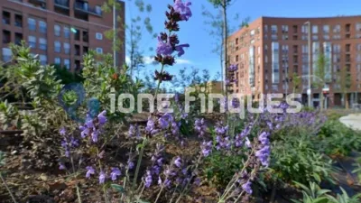 Apartment in Ca n'Oriac photo 3