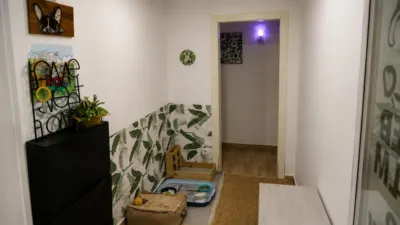 Apartment on Riera Gasulla Street photo 7