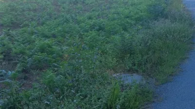 Terreno en venta en Augapesada - Vista 3