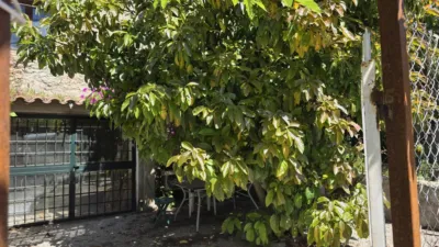  photo 45
