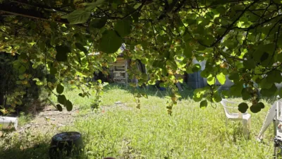  photo 49
