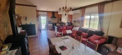 House in Sils photo 52