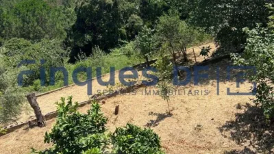 House in Riudarenes photo 33
