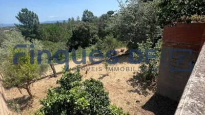 House in Riudarenes photo 34