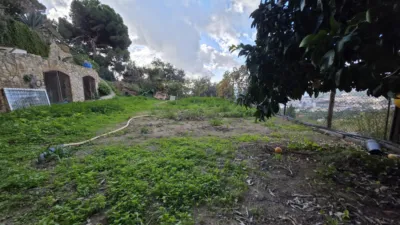 House in Roca Grossa-Serra Brava photo 14