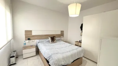 Apartment in Vilartagues i Tueda de Dalt photo 4
