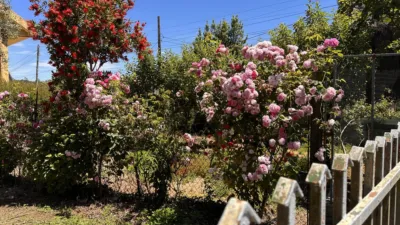Casa – Negreira, Vilachán de Abaixo, Vilachán - Vista 3