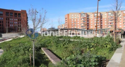 Apartment in Ca n'Oriac photo 3