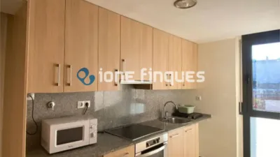 Apartment in Ca n'Oriol photo 8