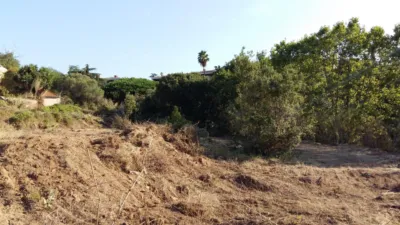 House in Sant Vicenç de Montalt photo 4