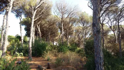 Casa en Sant Vicenç de Montalt photo 16