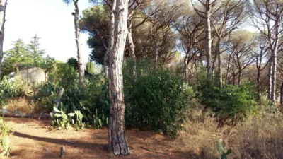 Casa en Sant Vicenç de Montalt photo 17