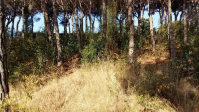 Casa en Sant Vicenç de Montalt photo 18