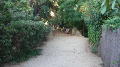 Casa en Sant Vicenç de Montalt photo 23
