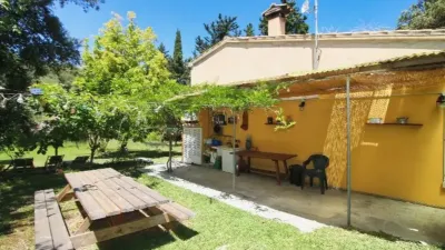 Rustic house in Pollença photo 4