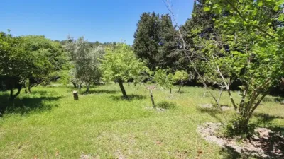 Rustic house in Pollença photo 5