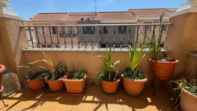 House on Doctor Manuel Galvez Street photo 30