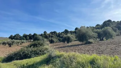 Casa en venta en Calle del Cerro de las Pipas, 92, La Zubia de 269.000 €