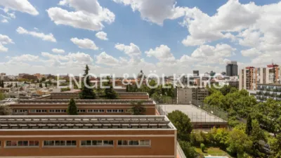 Ático en alquiler en Avenida de Alberto Alcocer - Imagen 31