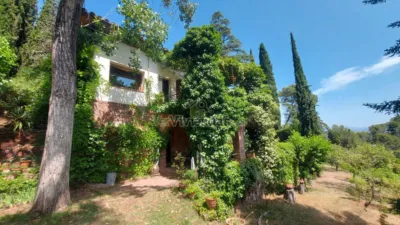 House on Carrer de Bonaventura Pedemonte, 5 photo 78