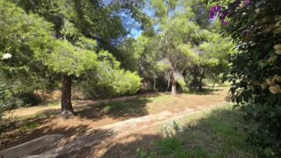 Piso en venta en Calle Pasaje Part Pollença, Palmanova-Son Caliu (Calvià) de 650.000 €