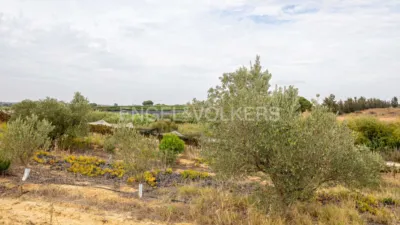 Casa en Cartaya photo 53