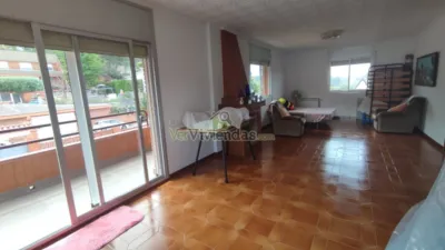 House on Carrer Major, 319 photo 32