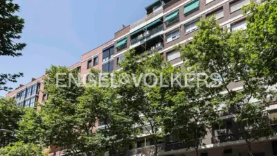 Flat on Clara del Rey Street photo 30