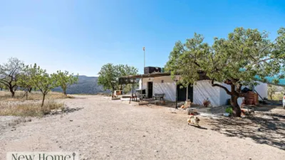 Rustic house in Ugíjar photo 17