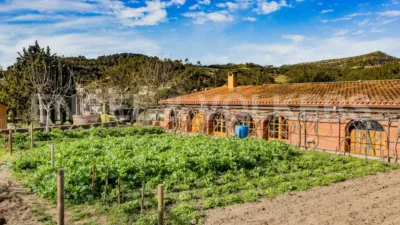 Casa en Torrelles de Llobregat photo 21