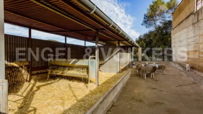 Casa en Torrelles de Llobregat photo 22