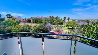 Pis – Torrevieja, Europa - Vista 5