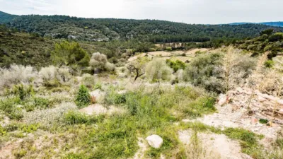 Terraced house in Castellet i la Gornal photo 25