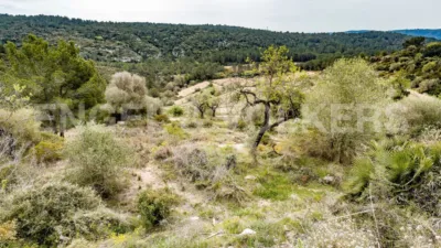 Terraced house in Castellet i la Gornal photo 26