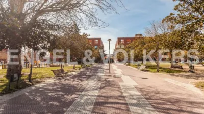 Piso en alquiler en San Juan Bautista - Imagen 23