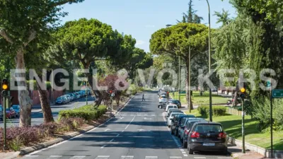 Piso en alquiler en San Juan Bautista - Imagen 24