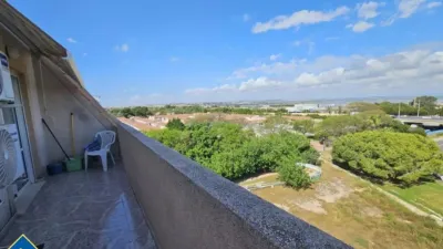 Pis – Torrevieja, San Roque - Vista 2
