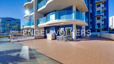 Pis – Torrevieja - Vista 4