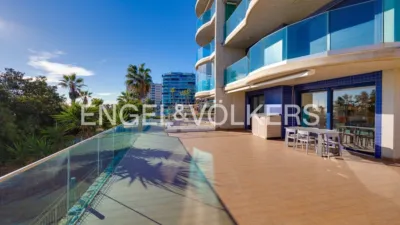 Pis – Torrevieja - Vista 5