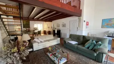 Apartment on Calle José Gutiérrez Petén photo 11